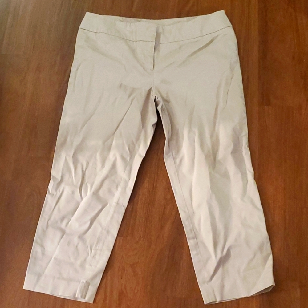 Ann Taylor LOFT Marisa Women's Light Khaki Pants - Size 10